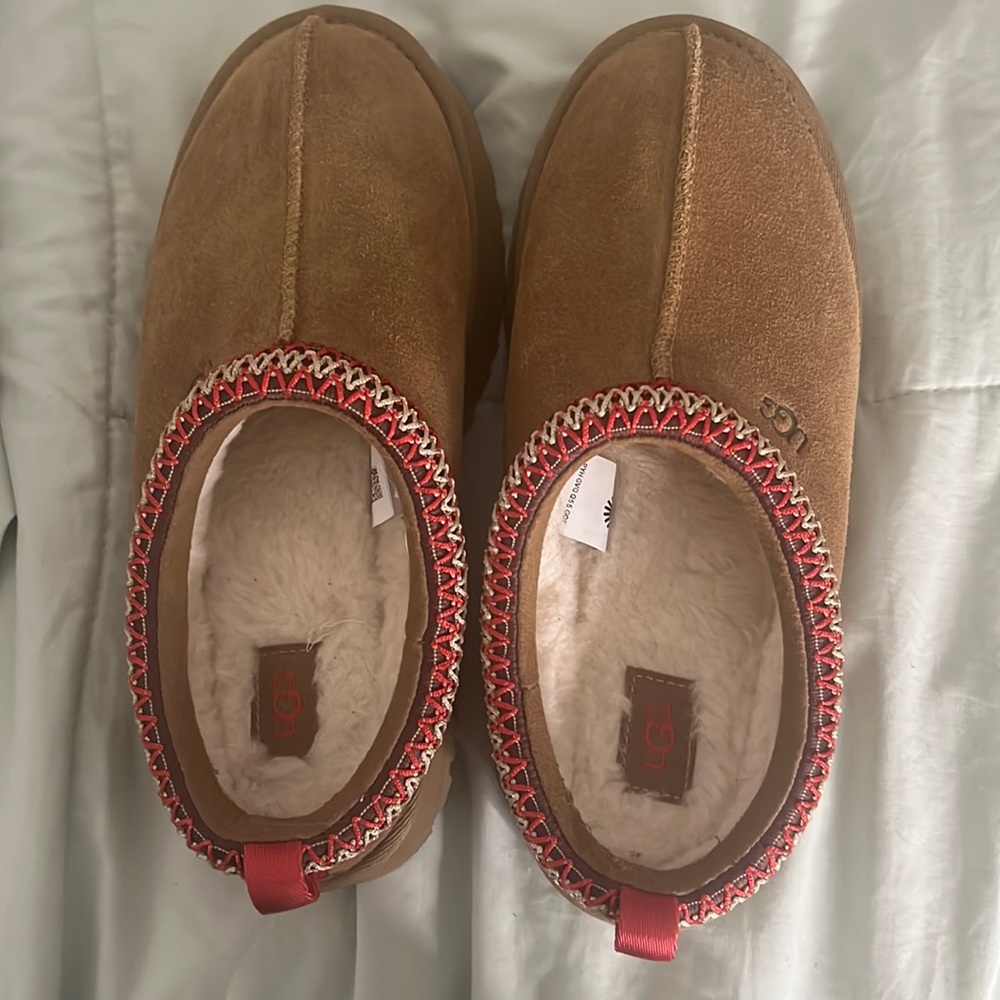 Tasman Uggs